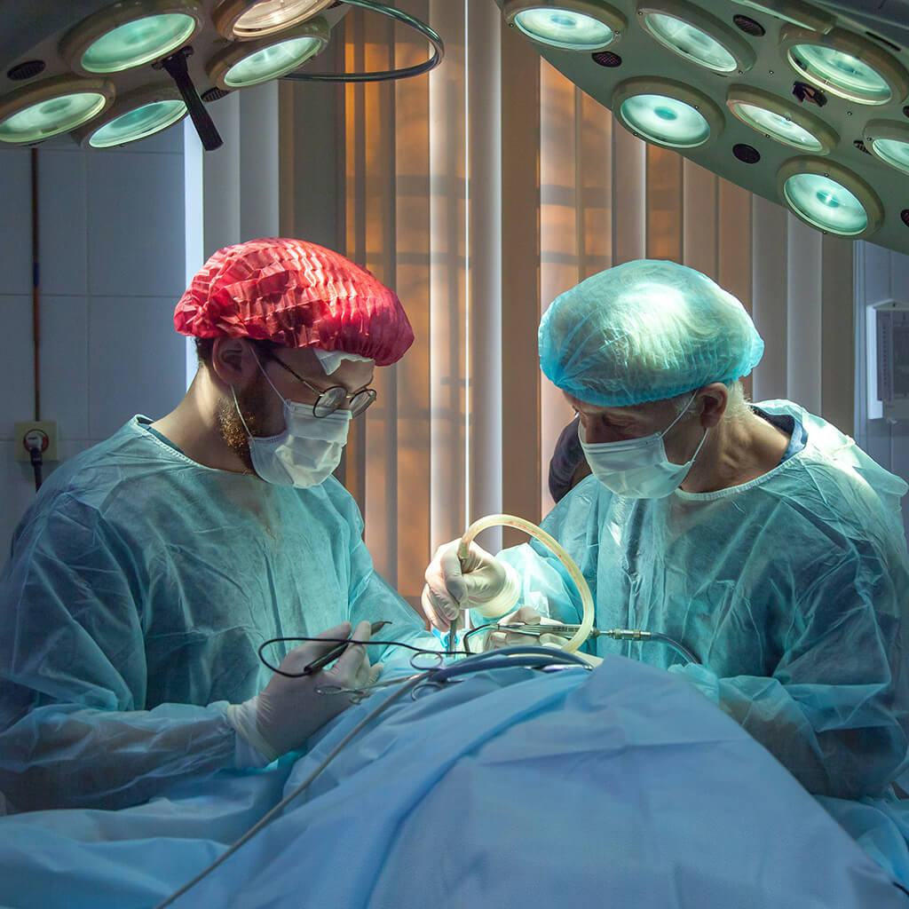 Health & Medical Care